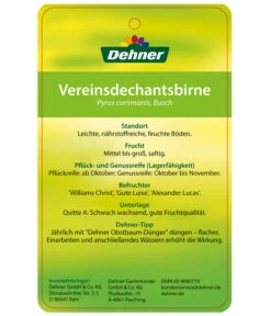 Herbstbirne 'Vereinsdechant' -Angebote Pflanz Lust Store 7772064 BirneVereinsdechant Etikett 2