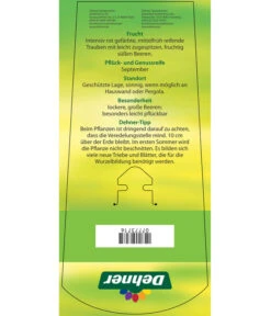 Tafeltraube 'Katharina' 8 Tafeltraube 'Katharina' -Angebote Pflanz Lust Store 7773716 TafeltraubeKatharina Etikett 2