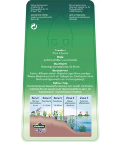 Dehner Kalmus -Angebote Pflanz Lust Store 8310104 KalmusAcorusCalamus Etikett 2