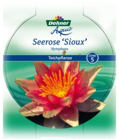 Dehner Seerose 'Sioux' -Angebote Pflanz Lust Store 8315947 Seerose Sioux Etikett 1 NEU