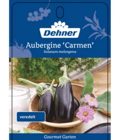 Dehner Gourmet Garten Aubergine, Veredelt 8 Dehner Gourmet Garten Aubergine, Veredelt -Angebote Pflanz Lust Store 8830051 GGAubergineCarmen Etikett 1