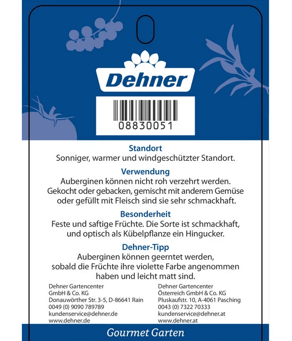 Dehner Gourmet Garten Aubergine, Veredelt 5 Dehner Gourmet Garten Aubergine, Veredelt – Bild 5