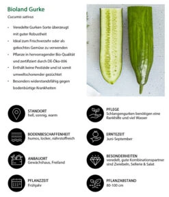 Bioland Gurke, Veredelt -Angebote Pflanz Lust Store 8830853 WE IG 001 BiolandGurke