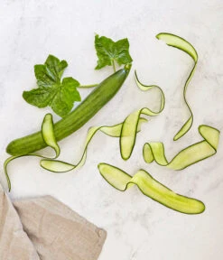 Bioland Gurke, Veredelt -Angebote Pflanz Lust Store 8830853 WE MO 001 SchlangengurkeveredeltRenner