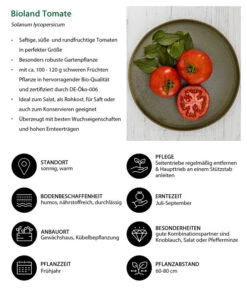 Bioland Tomate, Rundfruchtig -Angebote Pflanz Lust Store 8842619 WE IG 001 BiolandTomate