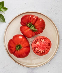 Bioland Fleischtomate -Angebote Pflanz Lust Store 8842627 WE MO 001 BiolandFleischtomate