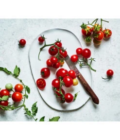 Bioland Cherrytomate 9 Bioland Cherrytomate -Angebote Pflanz Lust Store 8842635 WE MO 002 Bio Cherrytomate