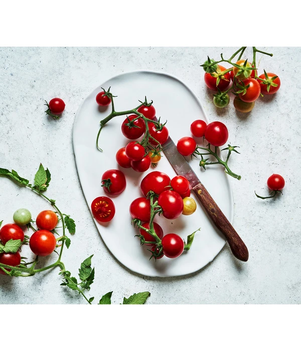 Bioland Cherrytomate 4 Bioland Cherrytomate – Bild 4