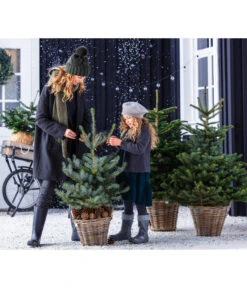 Angebote Pflanz Lust Store -Angebote Pflanz Lust Store 8997504 WE MO 001 PiceaPungens60bis80cm GC19 2021